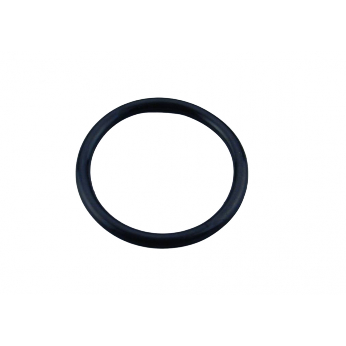 Projector O-Ring