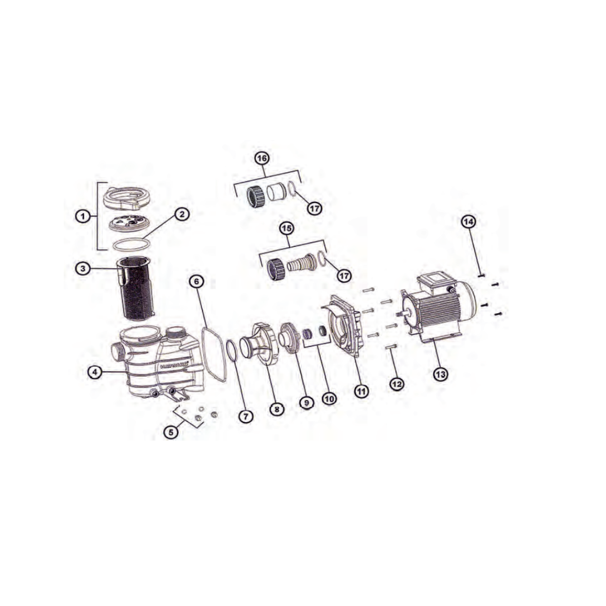 Hayward Powerline Pump O-Ring