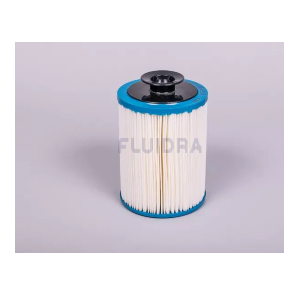 100 Micron Beach Cartridge Filter