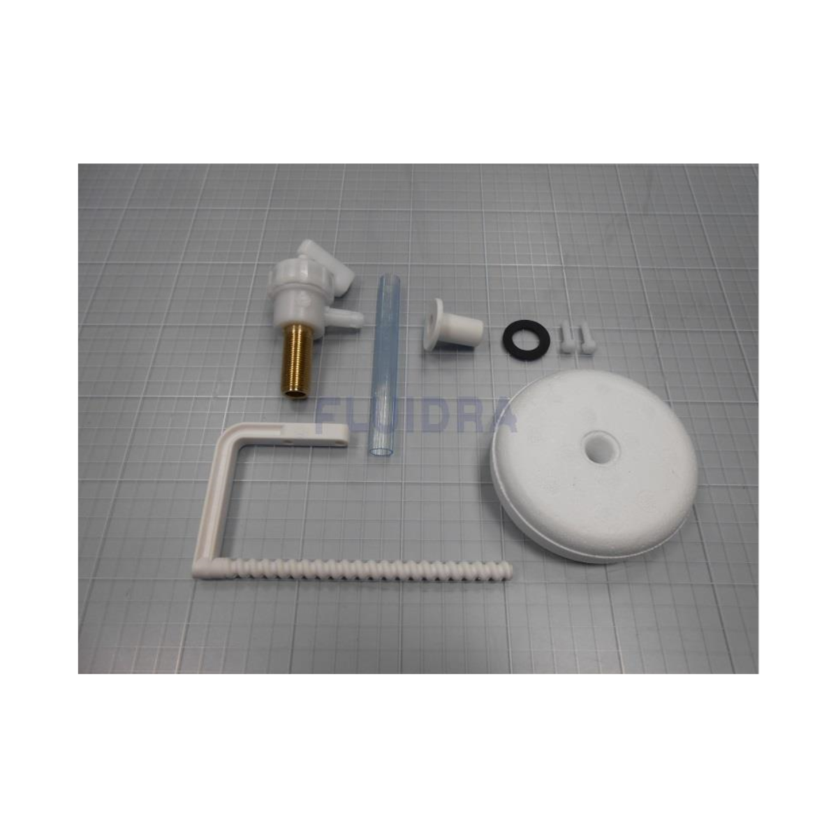 Valve and Buoy Assembly