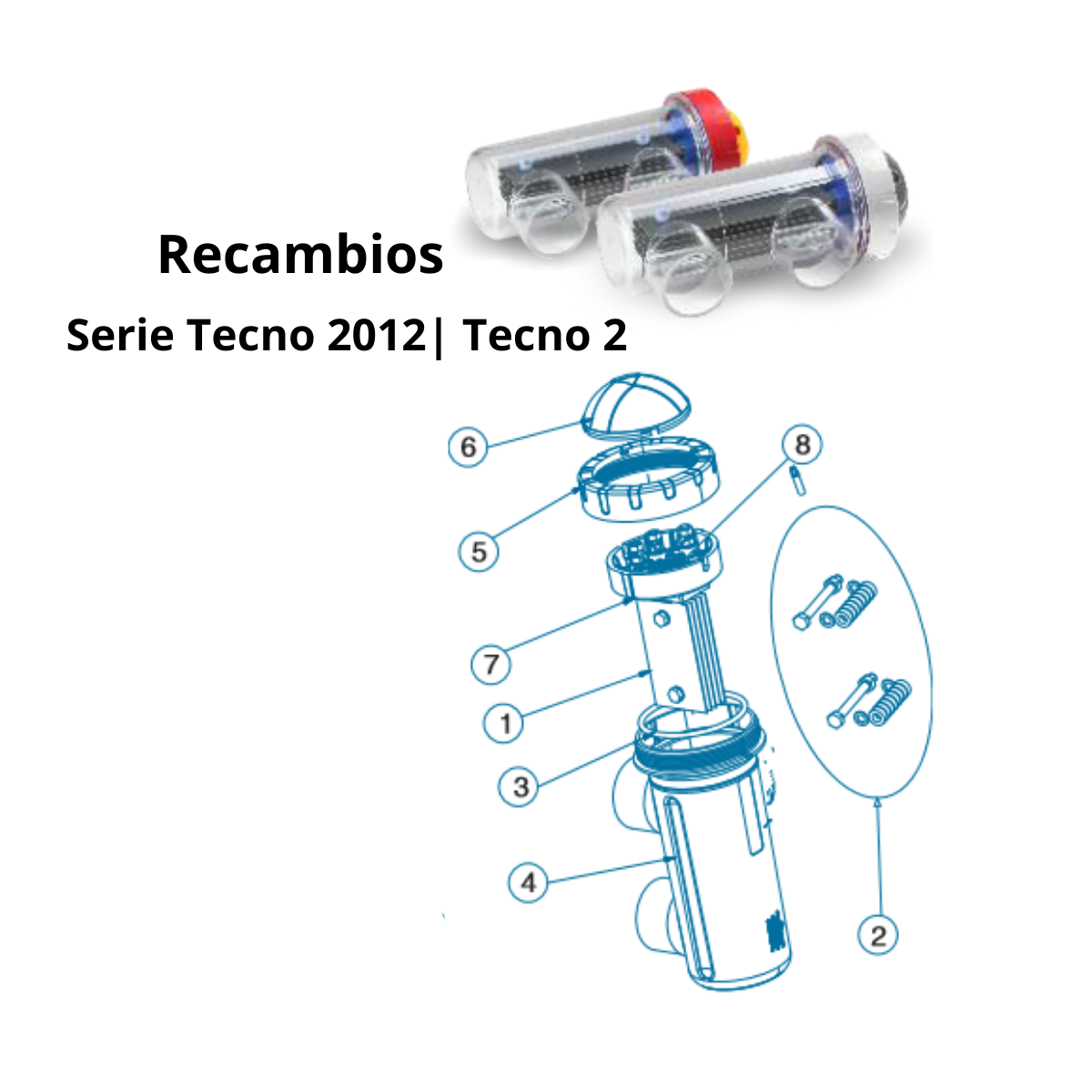 Pièces de rechange pour chlorateur salin Idegis Tecno 2012 | Tecno2