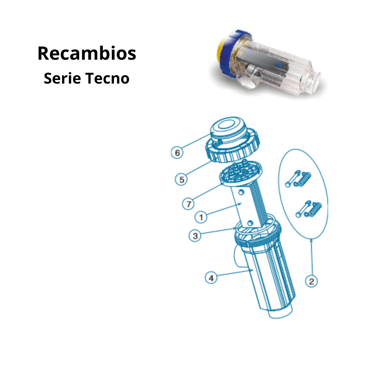Ersatzteile für Salzchlorinator der Idegis Tecno-Serie
