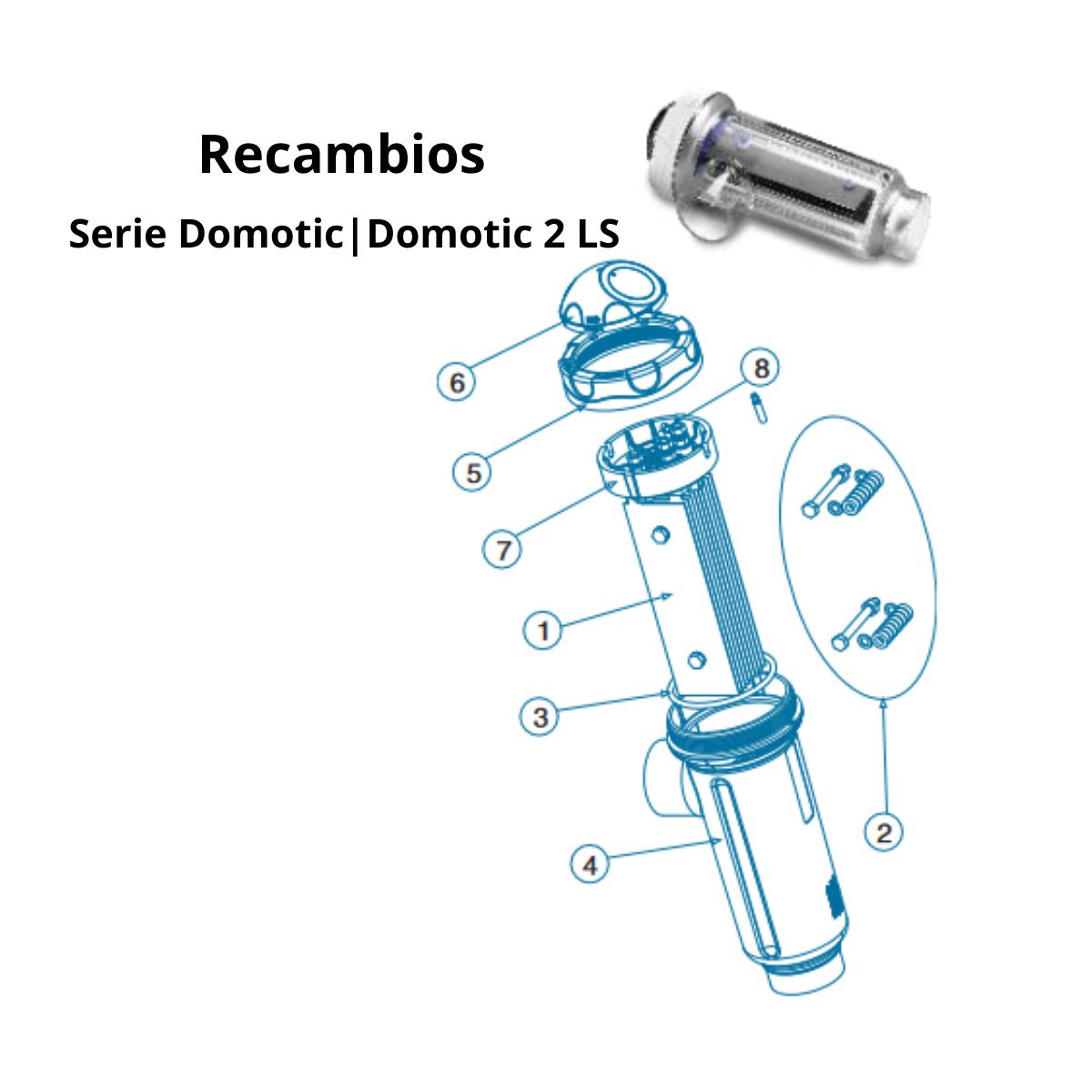 Ersatzteile für Salzchlorinator der Idegis Domotic-Serie|Domotic 2LS