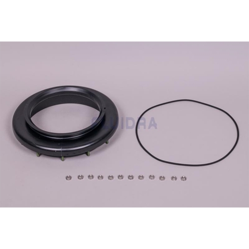 Conjunto de anel de pescoço de filtro superior Aster 550 AstralPool