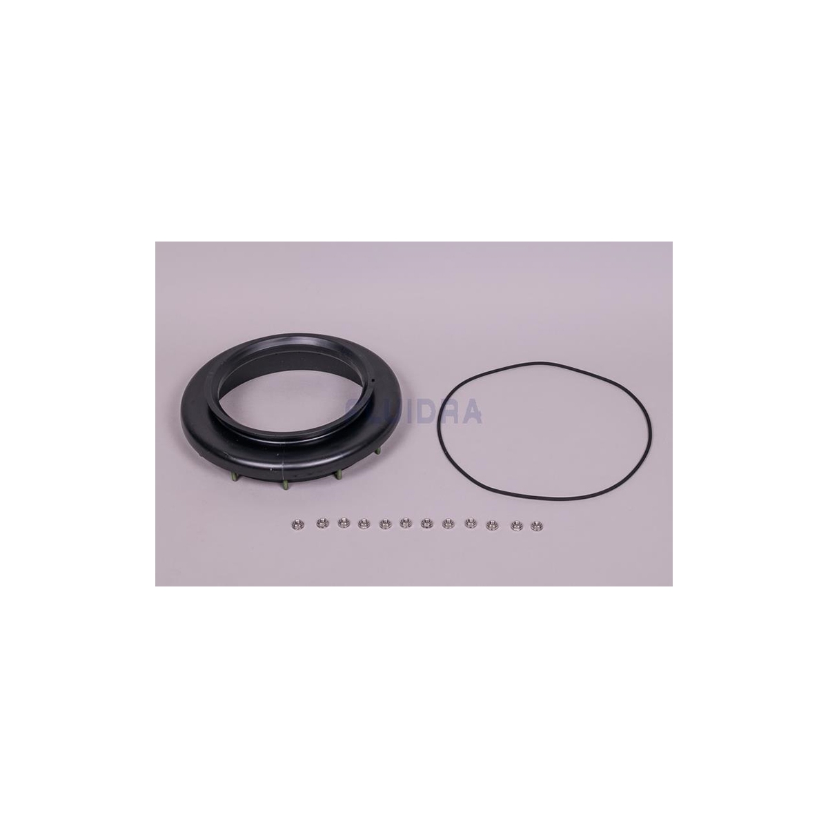Conjunto de anel de pescoço de filtro superior Aster 550 AstralPool