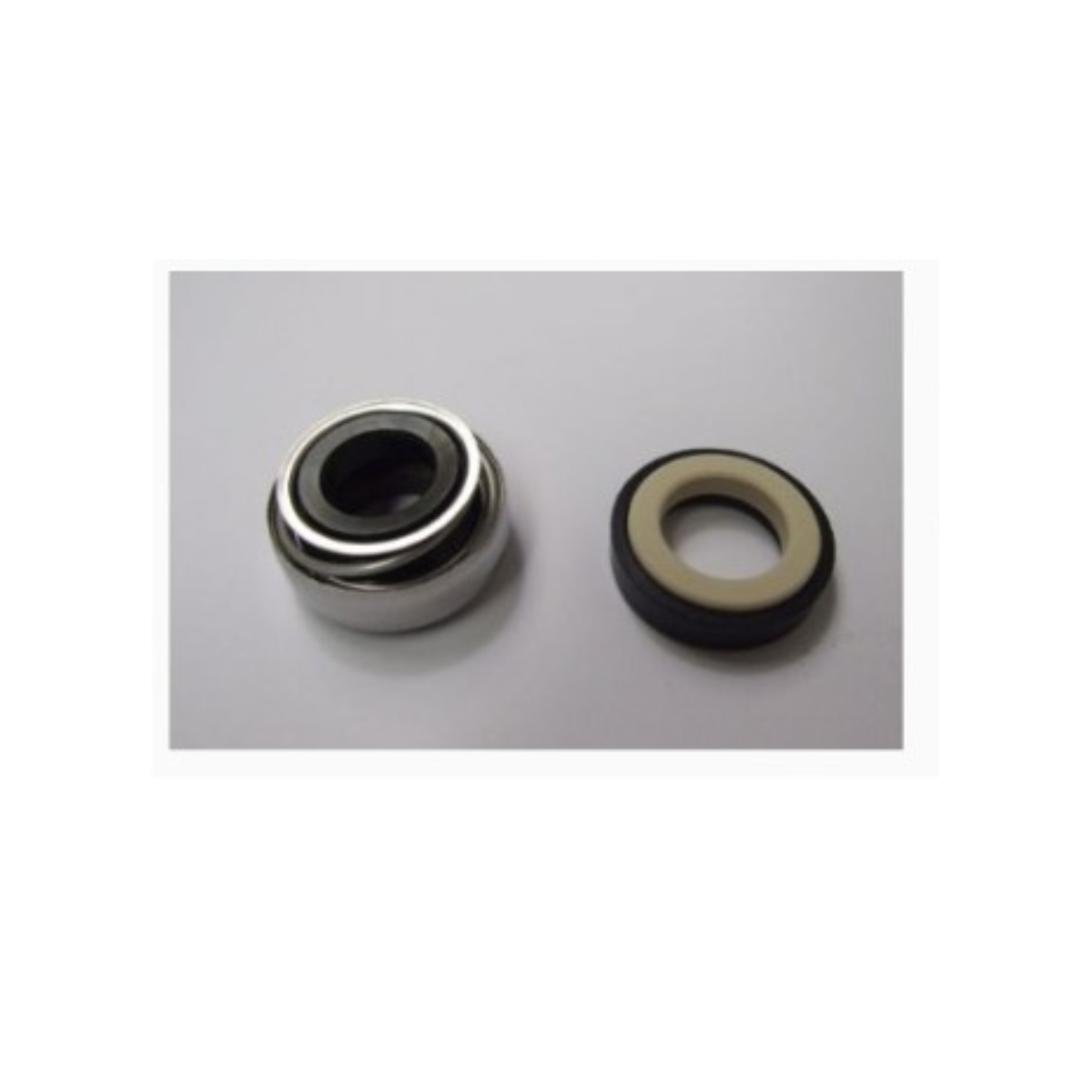 Prisma 25 Pump Mechanical Seal