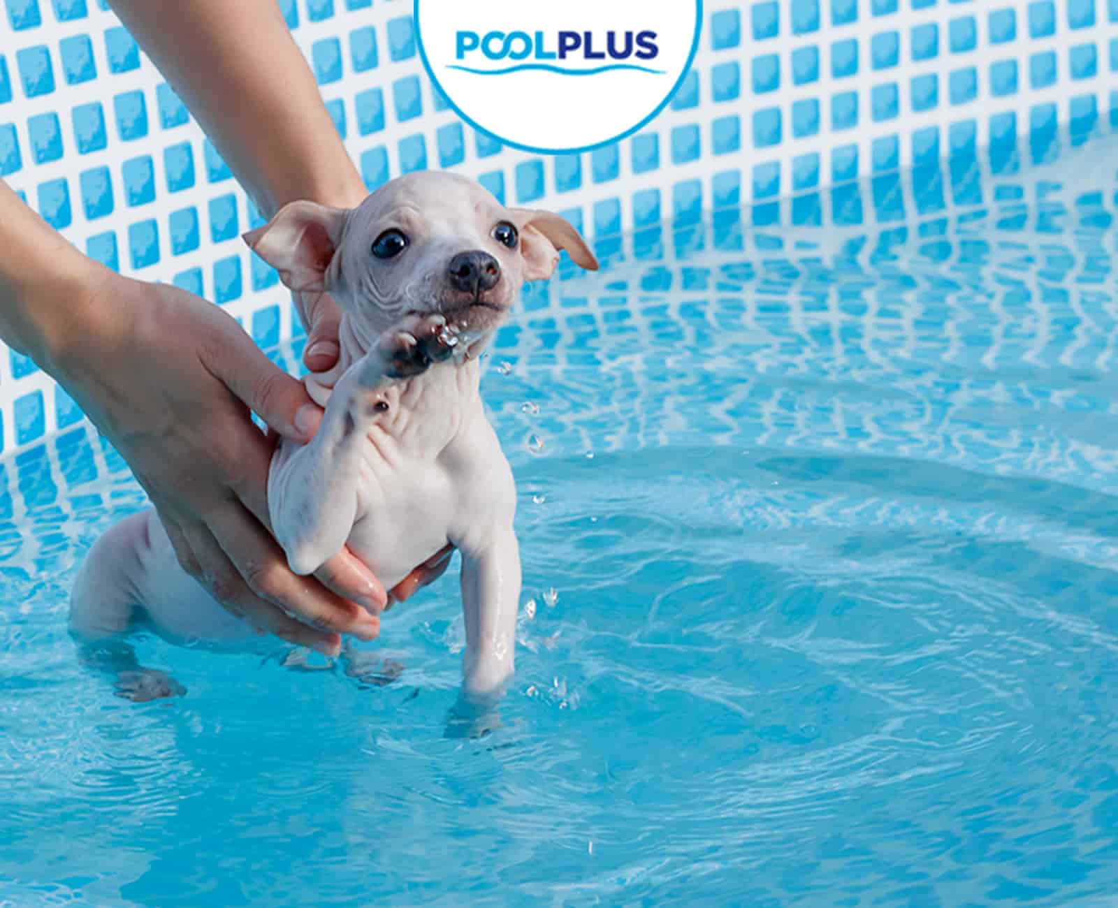 Casetas depuradoras para piscinas - Grupo Poolplus